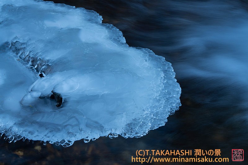 ../Images/7R251207 (60).jpg